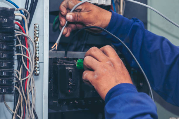 Best Residential Electrician Services  in Cheswold, DE