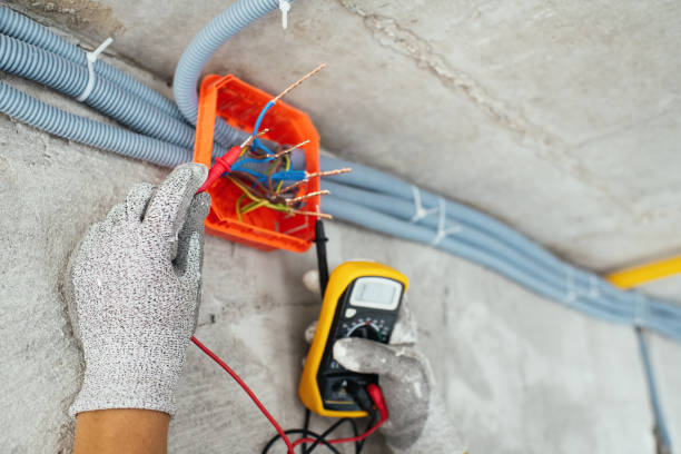 Best Home Electrical Repair  in Cheswold, DE